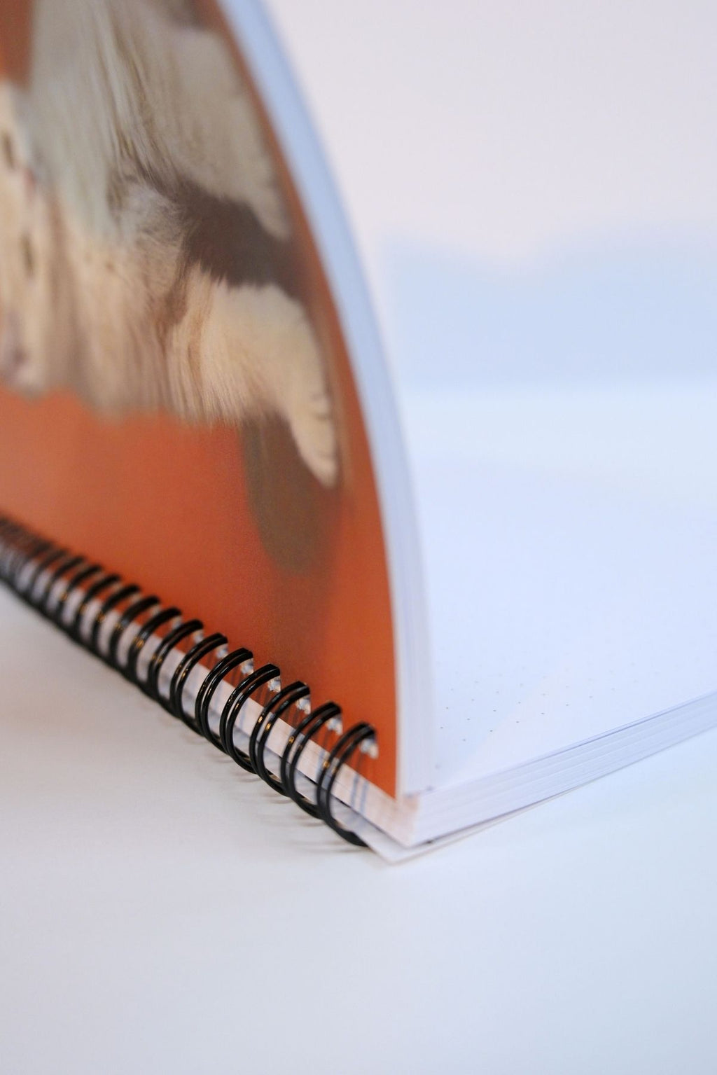 I LOVE DOGS Noktalı İnce Kapak Notebook