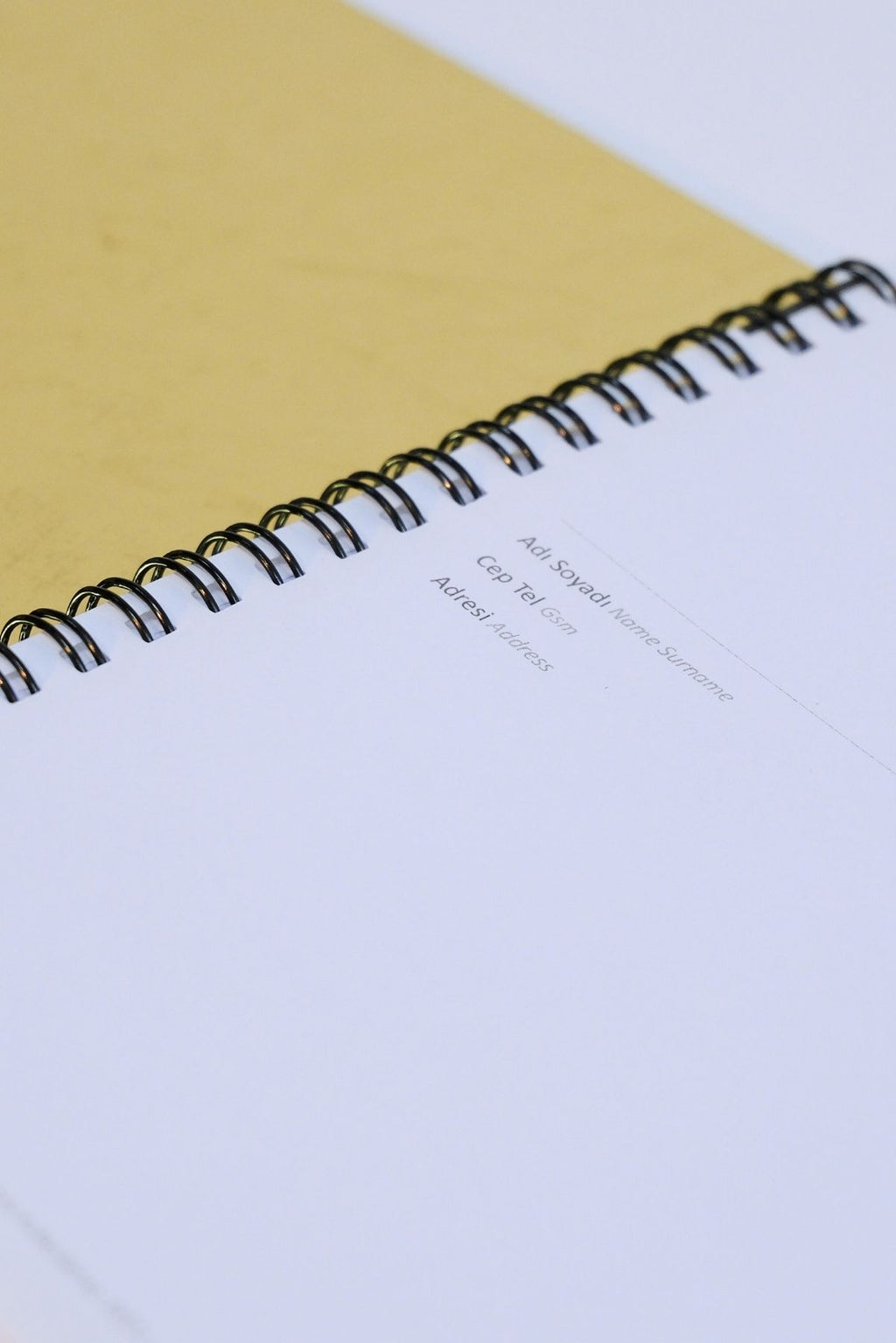 Gold Altın Noktalı İnce Kapak Notebook