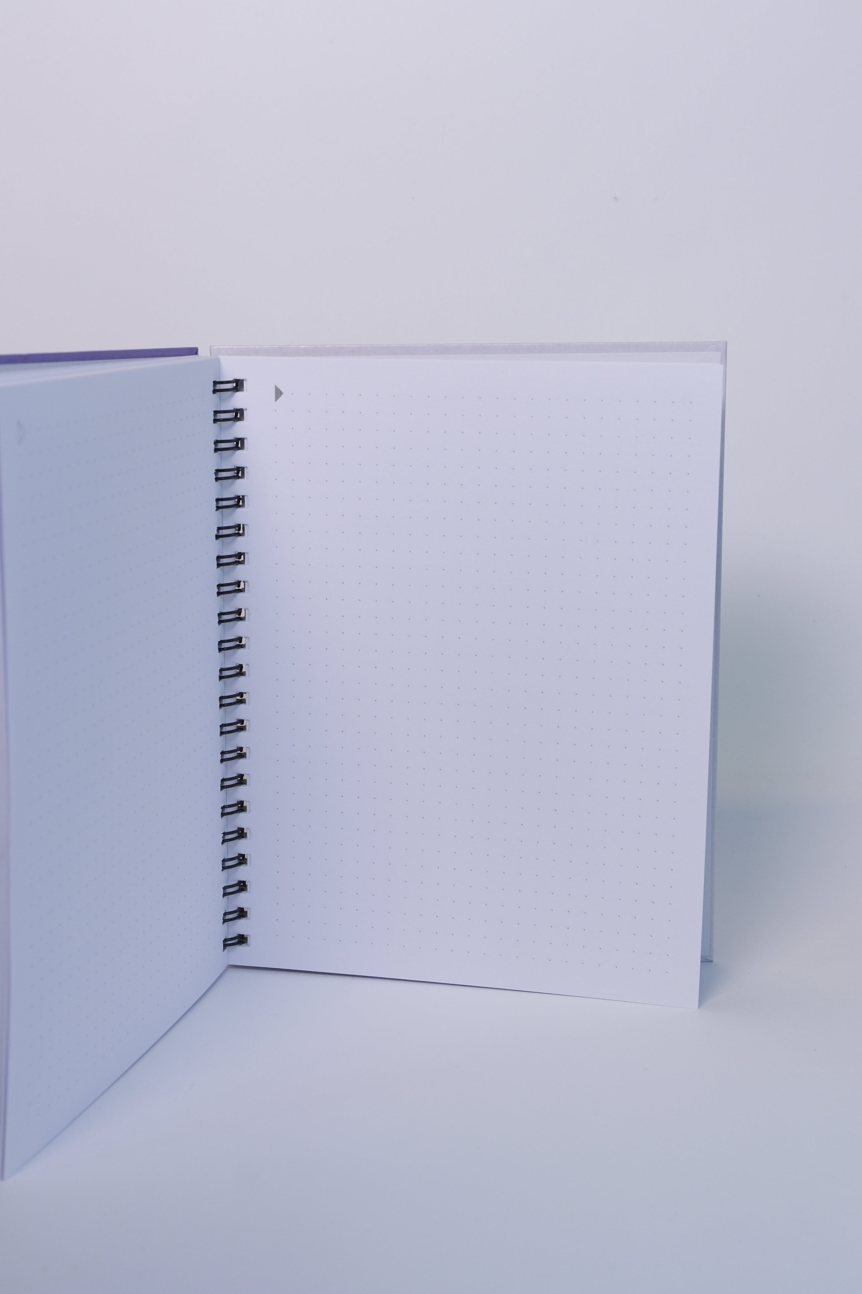 Lovely Dotted Notebook
