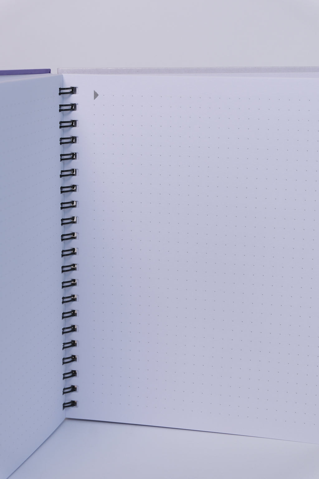 Funny Dotted Notebook