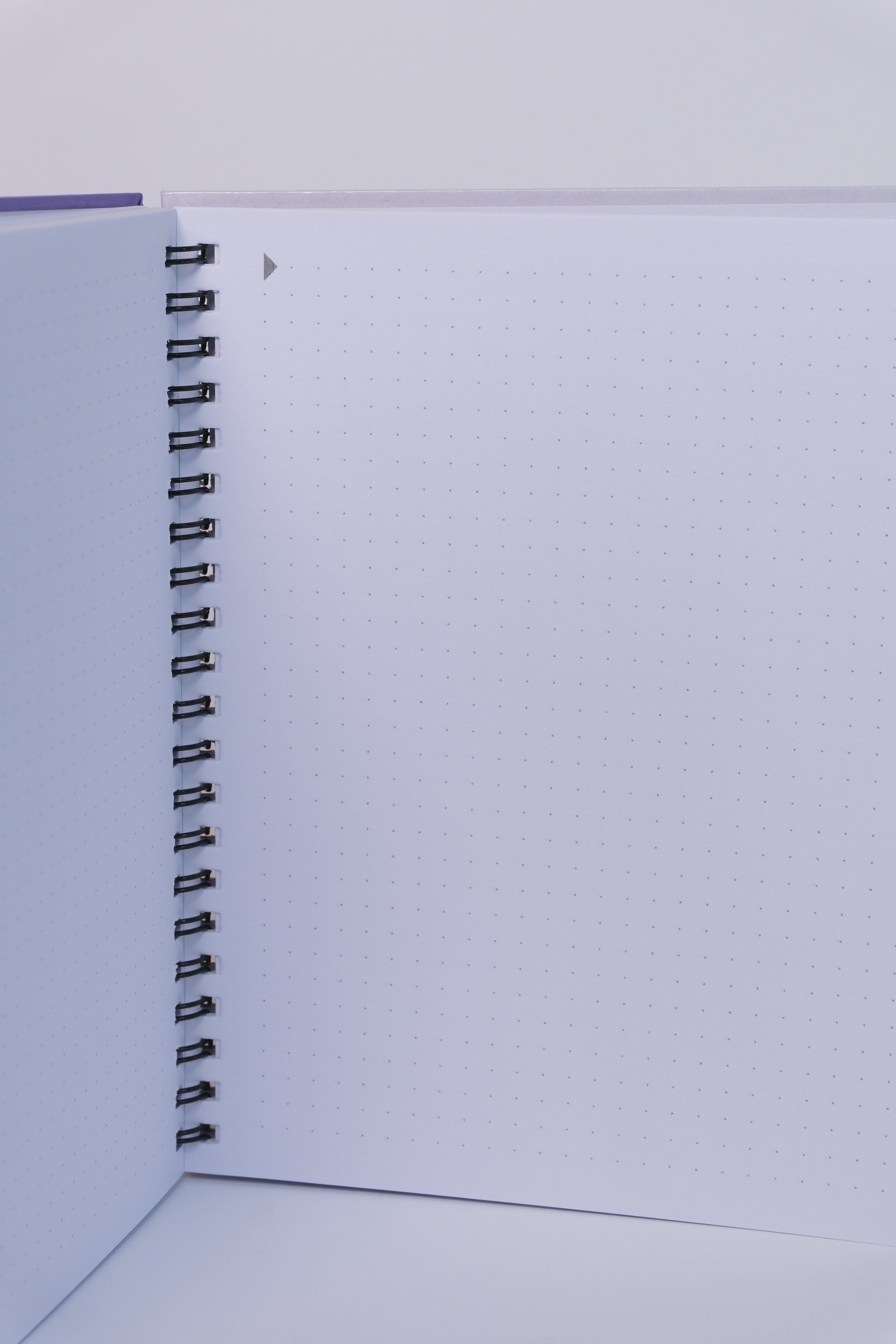 Lovely Dotted Notebook